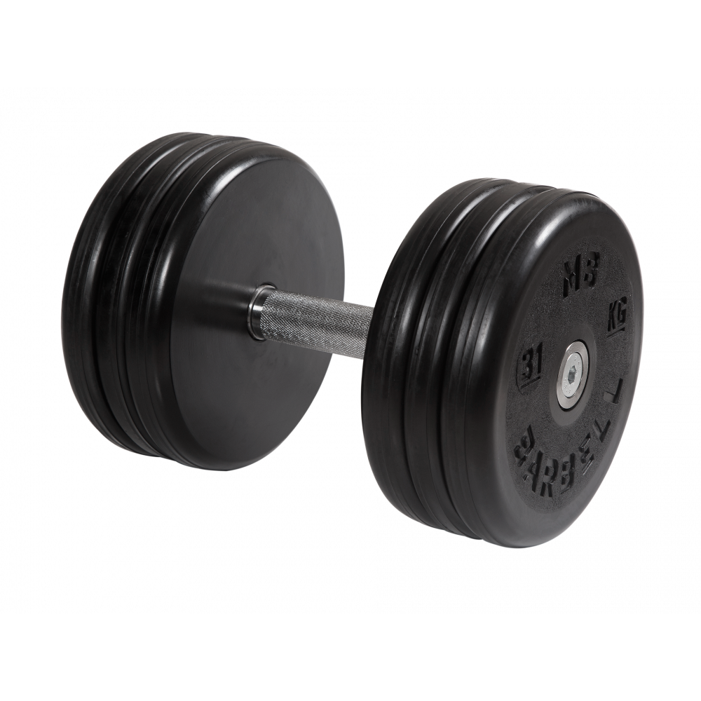 dumbbell_classic_31kg.png