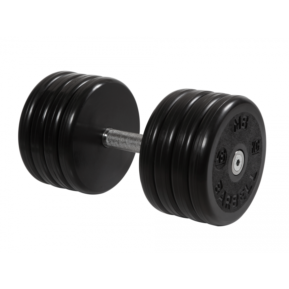 dumbbell_classic_46kg.png