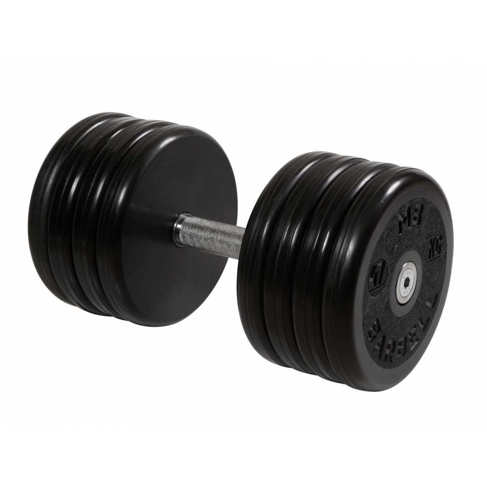 dumbbell_classic_47kg.png