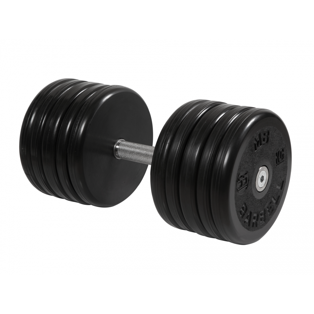 dumbbell_classic_55kg.png
