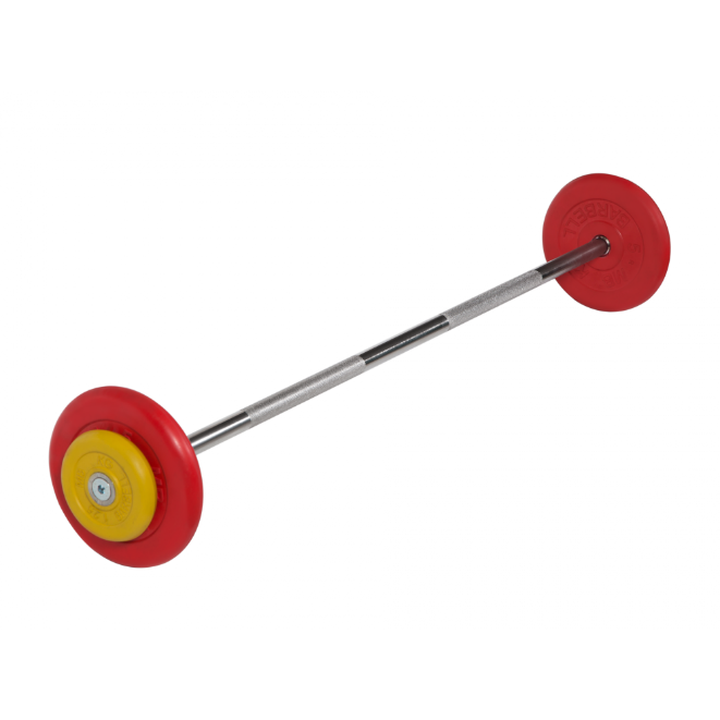 nondismountable_barbell_with_coloured_weight_plates_175kg.png